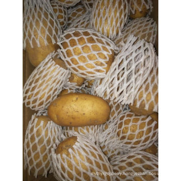 New Harvest Fresh Potato From China Wholesale